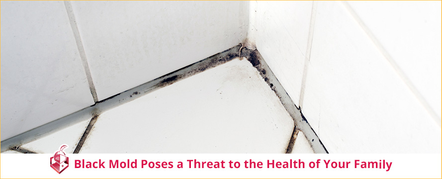 Black Mold Poses a Threat to the Health of Your Family