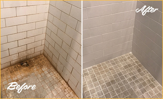 Before and After Picture of a Odenton Shower Tile and Grout Cleaned to Eliminate Mold and Stains