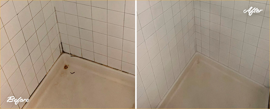 Shower Walls and Floor Before and After a Grout Cleaning in Annapolis